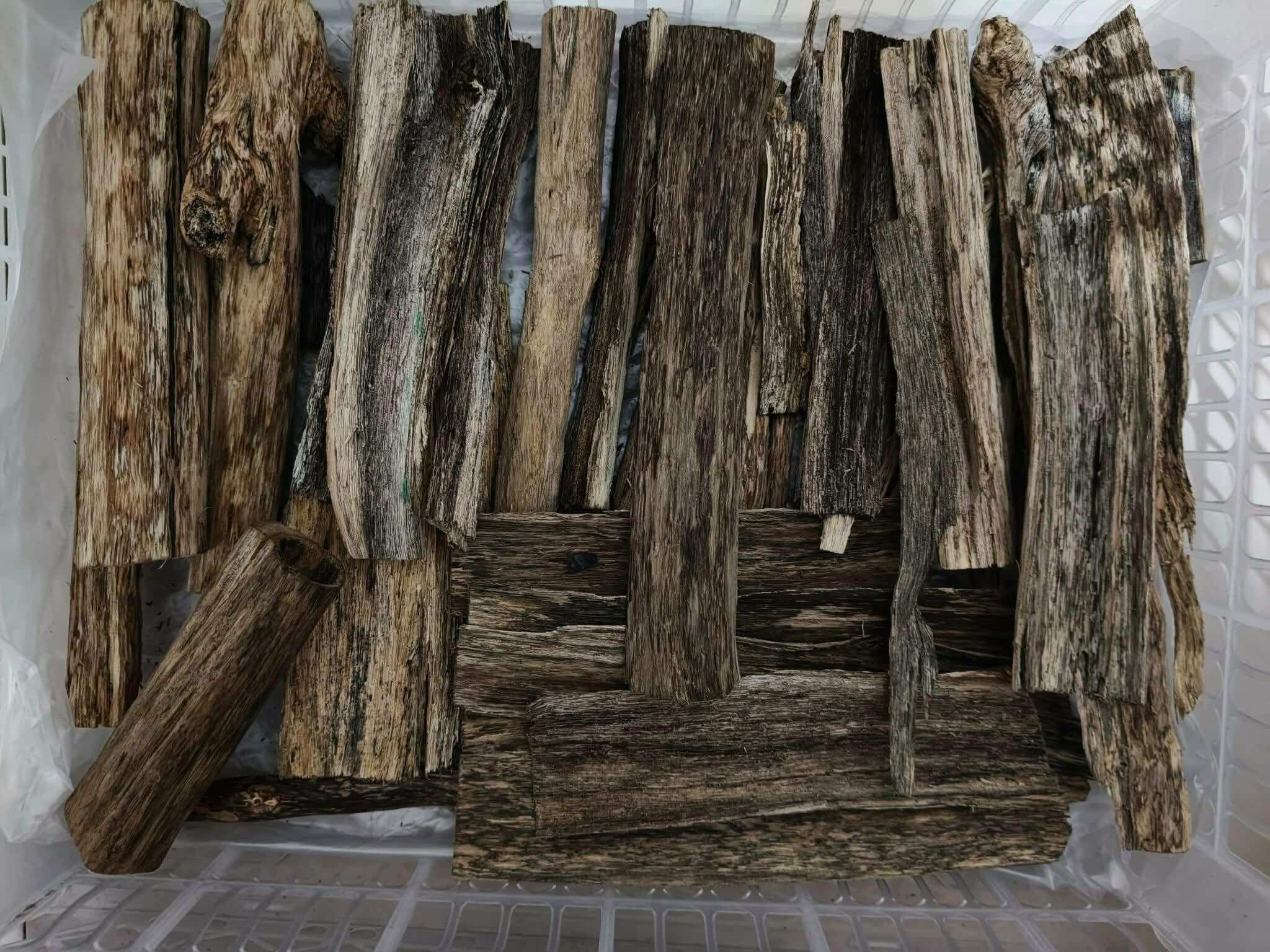 Agarwood chips 3