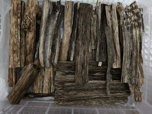 Agarwood chips 3